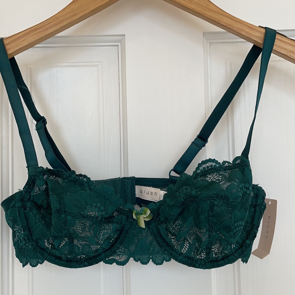 Blush Lingerie Lace Demi Bra 32B